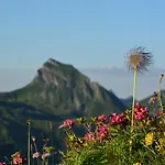 Ξενοδοχείο Garni Alpina Damüls