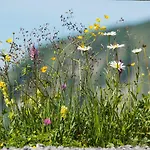 Ξενοδοχείο Garni Alpina