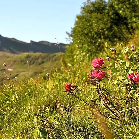 Garni Alpina