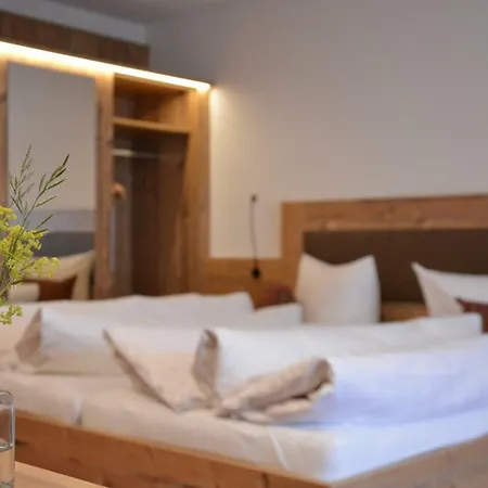 Garni Alpina 3* Damuels